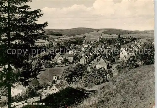 AK / Ansichtskarte 73854564 Zoeschen Panorama Zoeschen