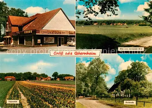 AK / Ansichtskarte 73855355 Quernheim_Diepholz Lichtburg Gaststaette Panorama Blick vom Stemweder Berg Dorfstrasse Tulpenfeld Quernheim Diepholz