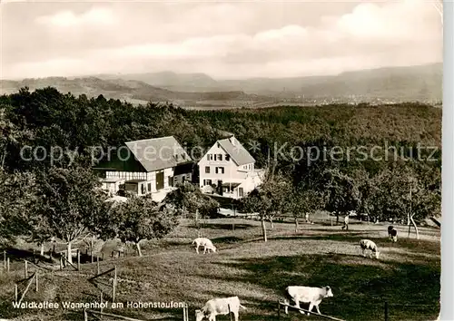 AK / Ansichtskarte 73855377 Hohenstaufen Wald-Kaffee Wannenhof am Hohenstaufen Viehweide Panorama Hohenstaufen