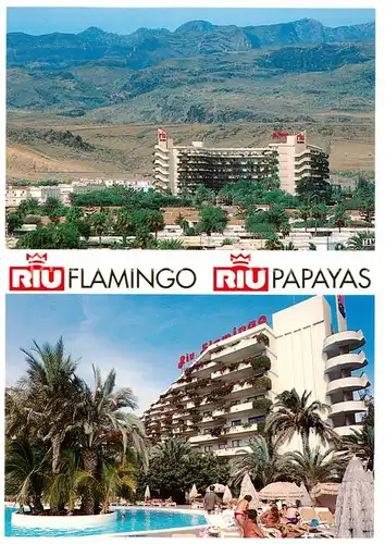 AK / Ansichtskarte 73857519 Playa_del_Ingles_Gran_Canaria_ES Aparthotel Riu Flamingo Hotel Riu Papayas 