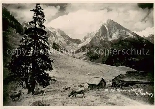 AK / Ansichtskarte  Graeppelen_Wildhaus_SG Alp Idyll mit Schafberg 