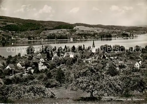 AK / Ansichtskarte  Mammern Panorama am Untersee Mammern