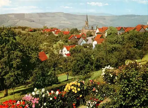 AK / Ansichtskarte 73875099 Rothenberg_Odenwald Panorama Erholungsort im Naturpark Odenwald Rothenberg Odenwald