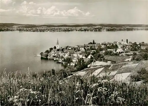 AK / Ansichtskarte  Berlingen_Untersee mit Insel Reichenau Berlingen Untersee