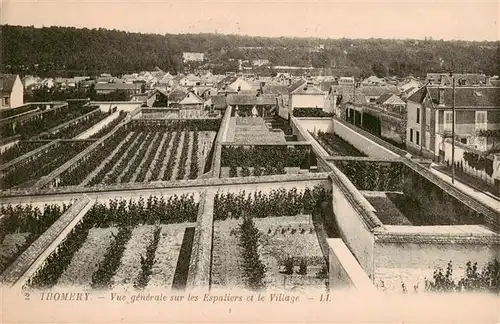 AK / Ansichtskarte  Thomery_77_Seine-et-Marne Vue générale sur les Espaliers et le village 