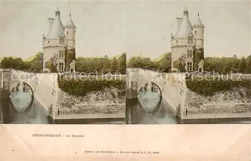 AK / Ansichtskarte  Chenonceaux_37_Indre_et_Loire Le Donjon 