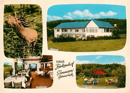 AK / Ansichtskarte 73893162 Simmern_Hunsrueck Hirsch Pension Haus Birkenhof Restaurant Garten Simmern Hunsrueck