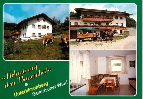 AK / Ansichtskarte 73896467 Grafling_Niederbayern Ferienhof Stieglbauer Appartement Pferdewagen Grafling Niederbayern