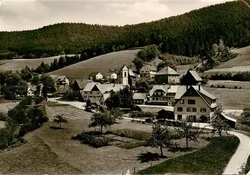 AK / Ansichtskarte 73900840 Reinerzau Panorama Reinerzau