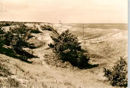 AK / Ansichtskarte 73903686 Neuhaus_Dierhagen_Ostseebad Duenen