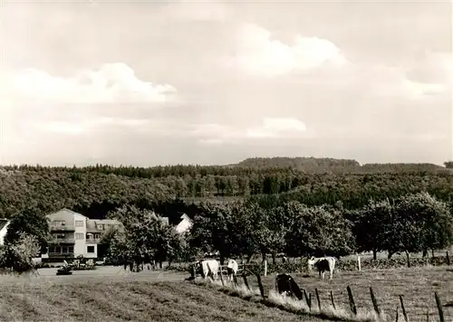 AK / Ansichtskarte 73910886 Bullau_Erbach_Odenwald Pension Schumbert Panorama