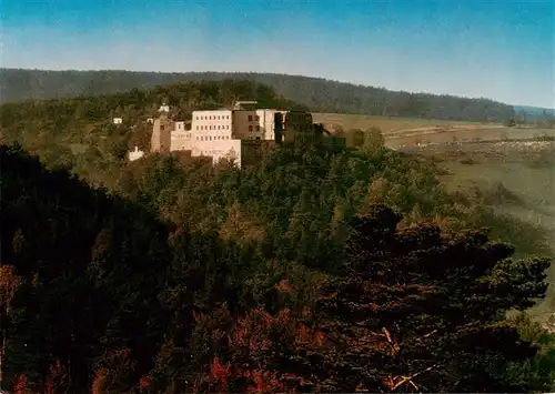 AK / Ansichtskarte 73915499 Altleiningen Jugendherberge Burg Altleiningen Fliegeraufnahme