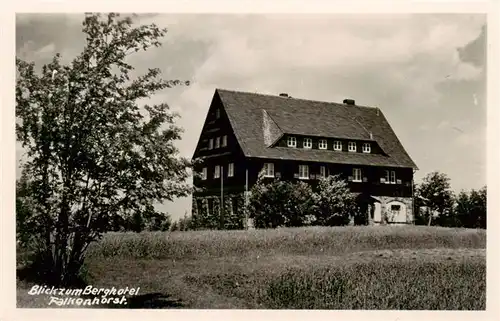 AK / Ansichtskarte 73916834 Altenberg__Osterzgebirge Berghotel Falkenhorst