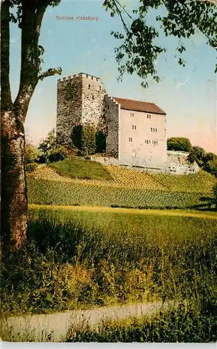 AK / Ansichtskarte  Schinznach_Bad Schloss Habsburg