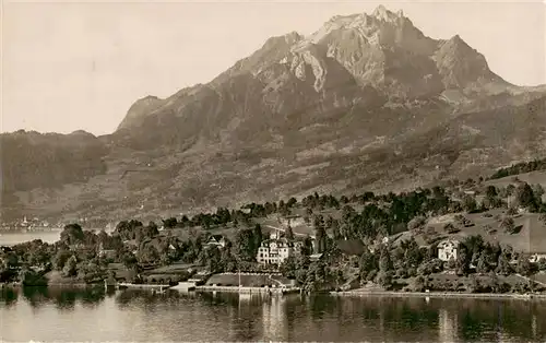 AK / Ansichtskarte  Luzern__LU Hotel Pension Kastanienbaum am Vierwaldstaettersee