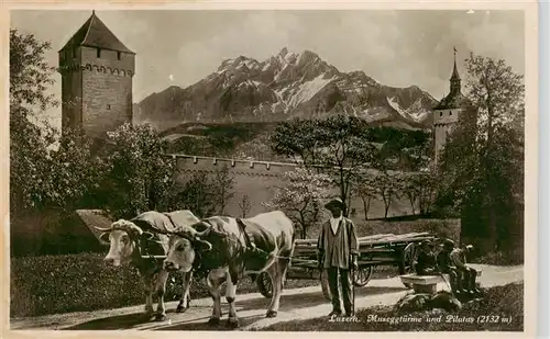 AK / Ansichtskarte  Luzern__LU Museggtuerme und Pilatus Ochsengespann