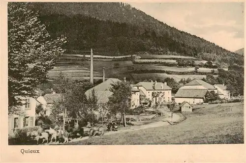 AK / Ansichtskarte  Quieux_Le_Saulcy_88_Vosges Panorama