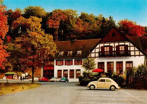 AK / Ansichtskarte 73934497 Warstein Waldhotel Tropfsteinhoehle Wlldgehege