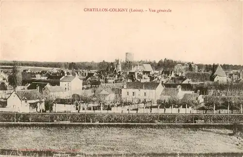 AK / Ansichtskarte  Chatillon-Coligny_45_Loiret Vue generale