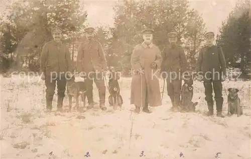 AK / Ansichtskarte 33938474 Militaria_Deutschland__WK1 Rettungshunde 