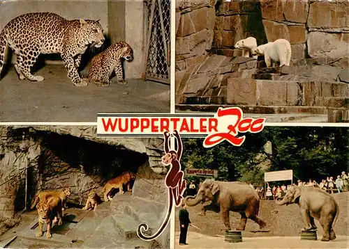 AK / Ansichtskarte 73941014 Zoo_Gardin_Zoologique-- Wuppertal Elefant Loewe Leopard Eisbaer