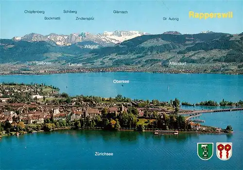 AK / Ansichtskarte  Rapperswil_-Jona_Rapperswyl_Zuerichsee_SG Panorama Rosenstadt Zuerichsee und Glaernisch