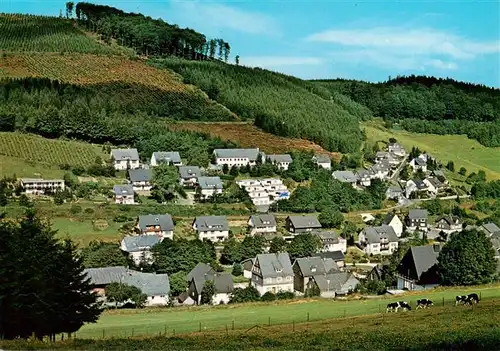 AK / Ansichtskarte 73942557 Silbach__Winterberg_Hochsauerlandkreis Panorama