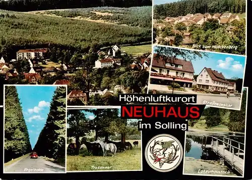 AK / Ansichtskarte 73944016 Neuhaus_Solling Parkhotel Duesterdiek Strassenpartie Lakenhausteich Trakehner Pferde