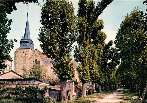 AK / Ansichtskarte  Villeneuve-l_Archeveque_89_Yonne Promenade du Sud à l'ombre de l'église