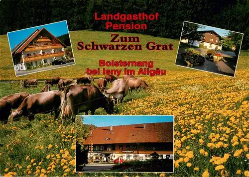 AK / Ansichtskarte 73946187 Bolsternang Landgasthof Pension Zum Schwarzen Grat Sommeridylle Viehweide