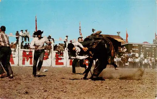 AK / Ansichtskarte 73949197 Calgary_Alberta_Canada Bucking horse at the famous Stempede