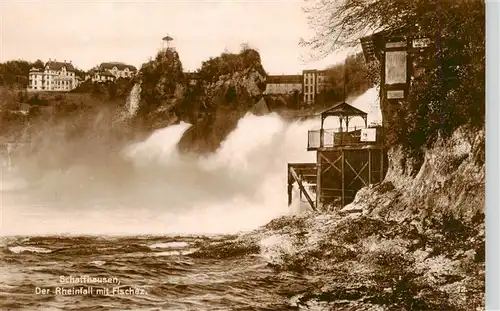 AK / Ansichtskarte  Schaffhausen__SH Der Rheinfall mit Fischez