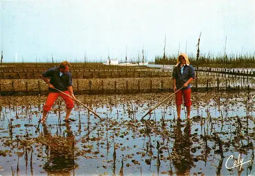 AK / Ansichtskarte 73954132 Landwirtschaft Couple de parqueurs 