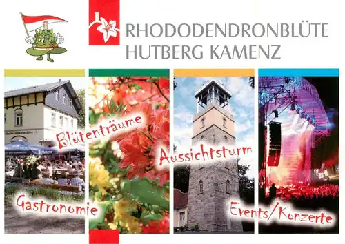 AK / Ansichtskarte 73954547 Kamenz_Sachsen Rhododendronbluete Hutberg Gastronomie Aussichtsturm Events