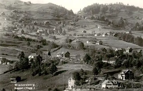 AK / Ansichtskarte  Wintersberg_Ebnat-Kappel_Toggenburg_SG Panorama