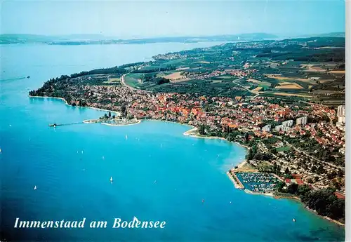 AK / Ansichtskarte 73960156 Immenstaad_Bodensee Fliegeraufnahme