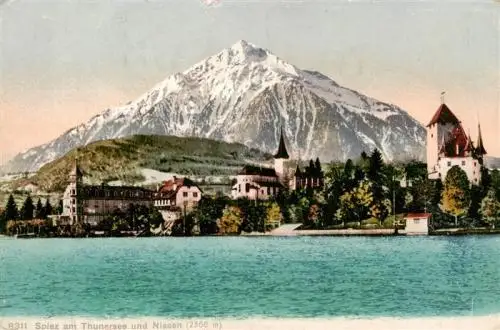 AK / Ansichtskarte  SPIEZ_Thunersee_BE mit Schloss und Niessen