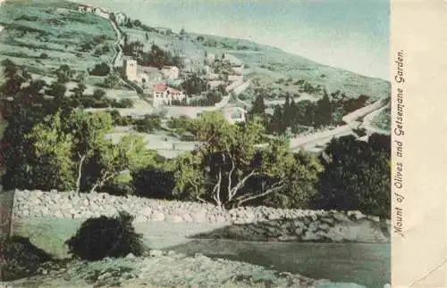 AK / Ansichtskarte 73962988 Getsemane_Getsemani_oelberg_Jerusalem_Yerushalayim_Israel Mount of Olives and Getsemane Garden