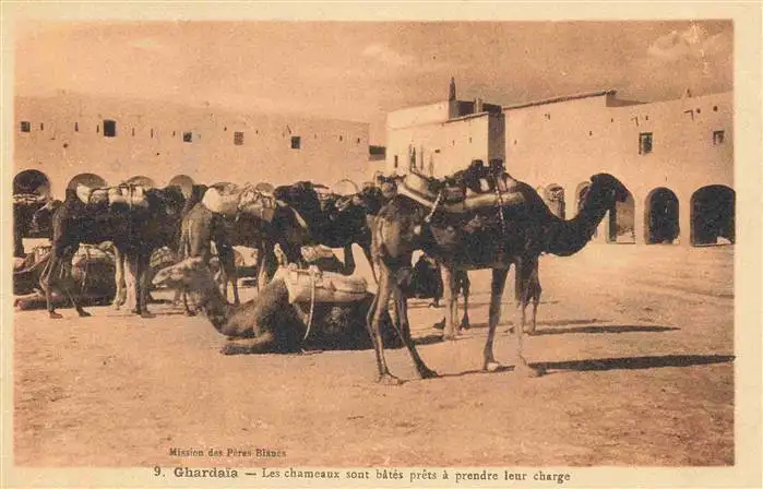 AK / Ansichtskarte 73963764 Ghardaia_Algeria Les chameaux sont bâtés prêts à prendre leur charge