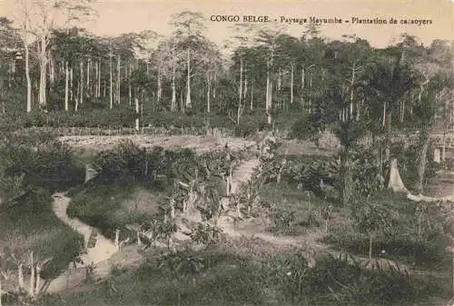 AK / Ansichtskarte 73965152 Congo_Belge_Belgisch_Kongo Paysage Mayumbe Plantation de cacoyers