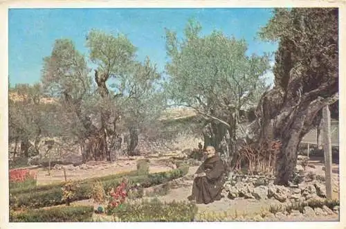 AK / Ansichtskarte 73968722 Jerusalem__Yerushalayim_Israel The Garden of Gethsemane