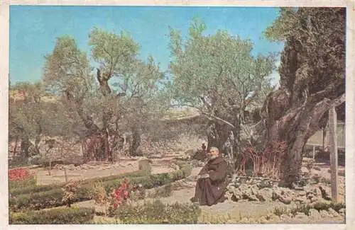 AK / Ansichtskarte 73968746 Jerusalem__Yerushalayim_Israel The Garden of Gethsemane