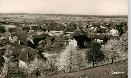 AK / Ansichtskarte  Gampelen_BE Panorama