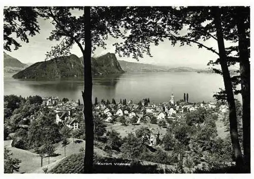 AK / Ansichtskarte  Vitznau_Witznau_Vierwaldstaettersee_LU Panorama Blick auf den See