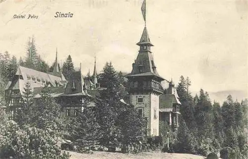 AK / Ansichtskarte 73976164 Sinaia_RO Castel Peles