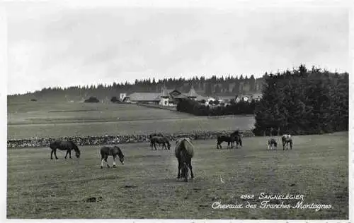 AK / Ansichtskarte  Saignelegier_Saingnelegier_JU Chevaux des Franches Montagnes