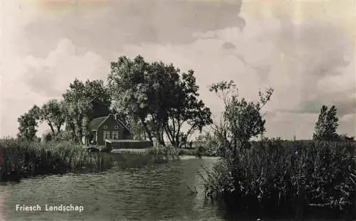 AK / Ansichtskarte 73977001 Goengahuizen_Akkrum_Friesland_NL Friesch Landschap