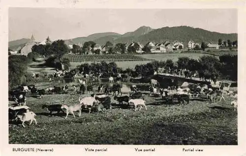 AK / Ansichtskarte 73977100 Burguete_Pirineo-Navarro_Pamplona_Navarra_ES Panorama