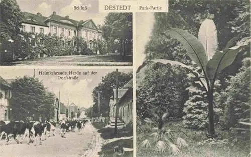 AK / Ansichtskarte 73977451 Destedt_Cremlingen_Niedersachsen Schloss Park Viehherde auf dem Heimweg Dorfstrasse