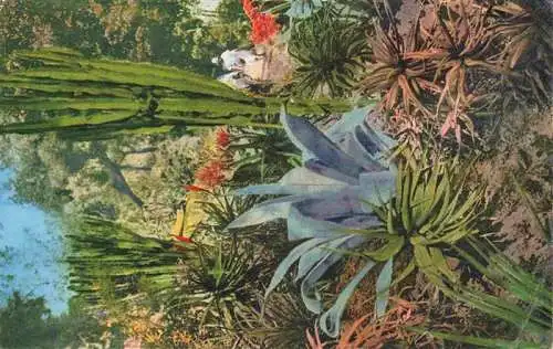 AK / Ansichtskarte 73978014 OSPEDALETTI_Imperia_Liguria_IT Botanischer Garten